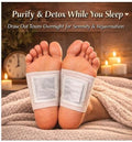 Kinoki Foot Patches (Pack of 2) - TruVexa